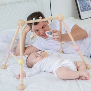 PlanToys Age 0-6 months