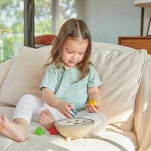 PlanToys Age 12 Months +