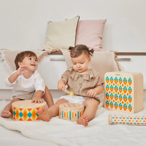 PlanToys Age 18 Months +